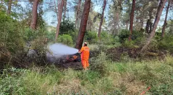 Kemer'de Ormanlık Alanda Çıkan Yangın Söndürüldü