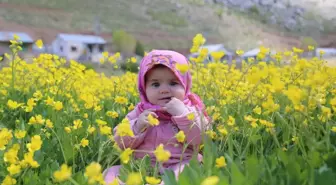 Konya Hisarlık Yaylası doğa ve fotoğraf tutkunları için görsel şölen sunuyor