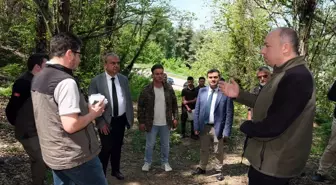 Kastamonu'da Gal Arısına Karşı Böcek Salımı Yapıldı