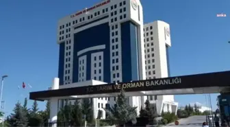 2024 Yılında Yaş Çay Alım Fiyatı Açıklandı