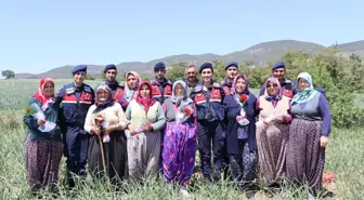 Kastamonu'da jandarma ekipleri tarlada çalışan kadınların Anneler Günü'nü kutladı