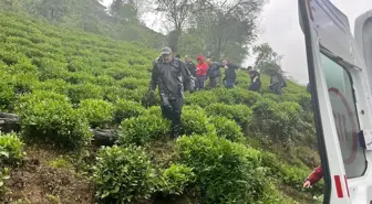 Rize'de çay hasadı sırasında düşen şahıs sedye ile hastaneye taşındı