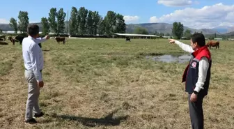 Amasya Tarım ve Orman Müdürlüğü, Mera Alanlarında İncelemelerde Bulundu