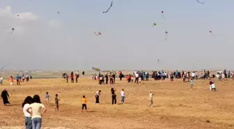 Şanlıurfa'da renkli uçurtmalar gökyüzünü süsledi