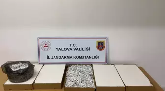 Yalova'da 35 Bin Dolu Makaron Ele Geçirildi