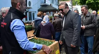 Sinop'un Ayancık ilçesinde vatandaşlara domates ve biber fidesi dağıtıldı