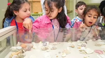 Dicle Üniversitesi'nde Zooloji Müzesi'nde çocuklara doğa sevgisi ve bilinci eğitimi veriliyor