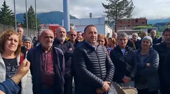 Çay Üreticileri, Yaş Çay Fiyatını Protesto Etti
