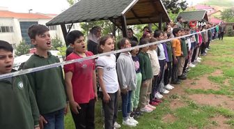 Bitlis'te 'Geleneksel Sokak Oyunları Şenliği' düzenlendi