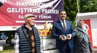 Düzce'de Kestane Ormanlarında Arıcılık Projesi Başladı