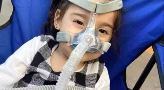 Bayburt'ta Hakaret Davası Uzlaşmayla Sonuçlandı