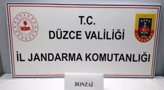 Düzce'de Uyuşturucu Operasyonu: 13 Kişi Hakkında Adli Tahkikat Başlatıldı