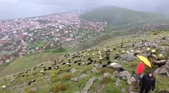 Tatvan'da Fotoğraf Sanatçıları Gökkuşağını Bekledi