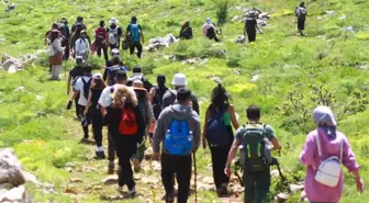 20 günlük ömrü olan çiçeği görmek için kilometrelerce yol katettiler