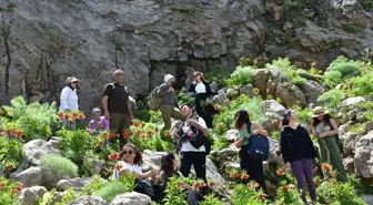 Mardin Dağcılık ve Doğa Sporları Kulübü Bacavan Yaylası'nda Ters Laleleri Görüntüledi