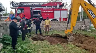 Erzincan'da kuyuya düşen inek itfaiye tarafından kurtarıldı