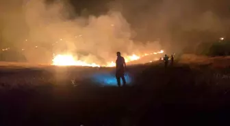 Şanlıurfa'da ormanlık alanda çıkan yangın söndürüldü