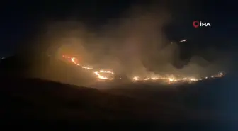 Şanlıurfa'da ormanlık alandaki yangın söndürüldü