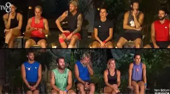 Survivor 2024 All Star'da Yeni Haftanın Kaptanları ve Takımları Belirlendi