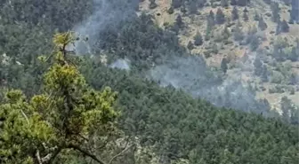 Adana'nın Saimbeyli ilçesinde çıkan orman yangını kontrol altına alındı