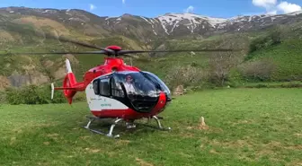 Van'da Pancar Toplarken Yaralanan Kadın Ambulans Helikopterle Hastaneye Sevk Edildi