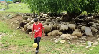 Şırnak'ta çobanlık yapan genç futbolcu keşfedilmeyi bekliyor