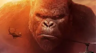 Kong: Kafatası Adası filmi oyuncuları kim? Kong: Kafatası Adası filmi konusu, oyuncuları ve Kong: Kafatası Adası özeti!