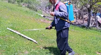 Kozan'da çekirge istilasına karşı ilaçlama çalışması yapıldı