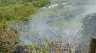 Zonguldak'ta Kozlu ilçesinde çıkan anız yangını söndürüldü