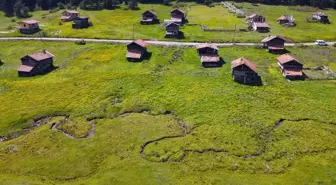 Kastamonu'nun Araç ilçesindeki yaylalar doğaseverleri bekliyor