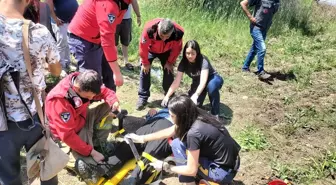 Balıkesir'de şarampole devrilen otomobilde 3 kişi yaralandı