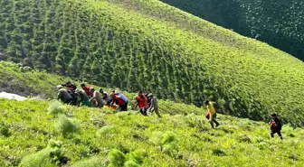 Van'da Kayalıklardan Düşen Şahıs Kurtarıldı