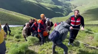 Van'ın Gevaş ilçesinde ot toplarken kayalıktan düşen kişi hastaneye kaldırıldı