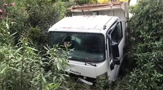 Adana'da kamyon ile otomobilin çarpıştığı kazada 1 kişi yaralandı