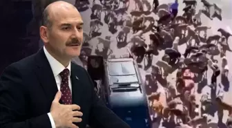 İletişim Başkanlığı: Süleyman Soylu'nun sokak hayvanları düzenlemesine karşı çıktığı iddiası doğru değildir