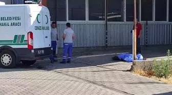 Fethiye'de Sanayi Bölgesinde Erkek Cesedi Bulundu