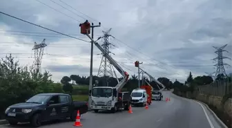 SEDAŞ, Leylekleri Elektrik Çarpmalarından Koruyacak