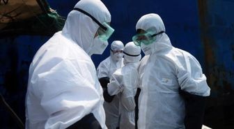 3 günde öldüren EBOLA VİRÜSÜ ne, nasıl bulaşır? Çinli bilim insanları geliştirdi! #129440