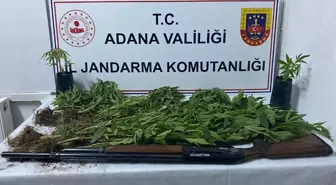 Adana'da 4 Kilo Esrar ve 60 Kök Hint Keneviri Ele Geçirildi