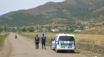 Gaziantep İslahiye'de Kuduz Karantinası Devam Ediyor