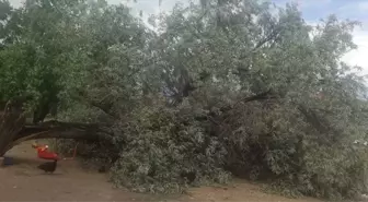 Konya'da Şiddetli Sağanak Hayatı Olumsuz Etkiledi