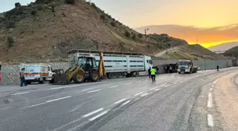 Siirt'te tır devrildi: 2 kişi yaralandı, 40 küçükbaş hayvan telef oldu