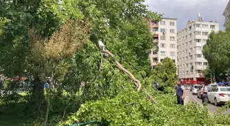 Eskişehir'de Otomobilin Üzerine Ağaç Dalları Düştü