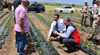 İslahiye Kaymakamı Mehmet Soylu, Kırmızıbiber Üreticilerini Ziyaret Etti