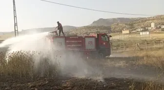 Mardin'de Ormanlık Alanda Çıkan Yangın Kontrol Altına Alındı