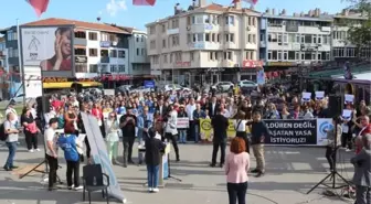 Tekirdağ Kent Konseyi, Sokak Hayvanları Yasa Tasarısını Protesto Etti