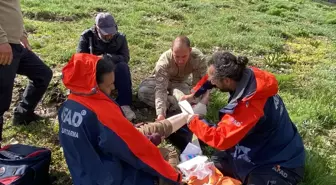 Tunceli'de Mantar Toplarken Düşen Kadın Helikopterle Hastaneye Ulaştırıldı