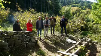 Kastamonu İnebolu'da Ayılar Vatandaşları Bezdiriyor