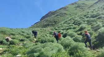 Van'da ot toplarken kayalıklardan düşerek yaralanan 2 kişiyi ekipler kurtardı