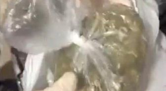 Bilecik'te Uyuşturucu Operasyonu: 3 Kişi Gözaltına Alındı